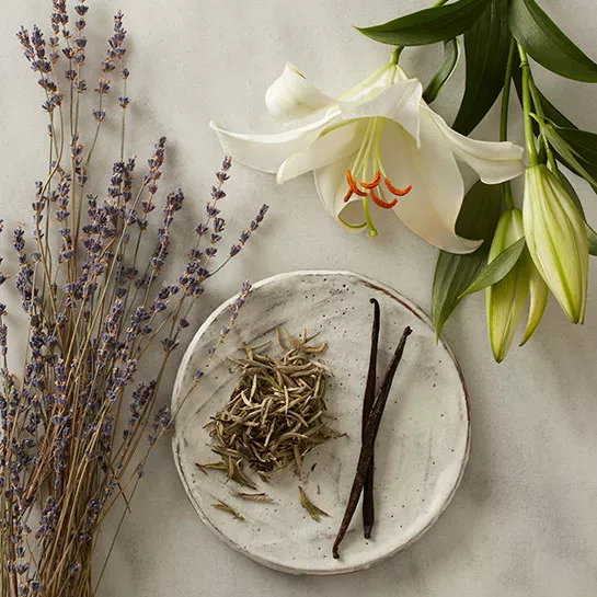 How to Use a Reed Diffuser